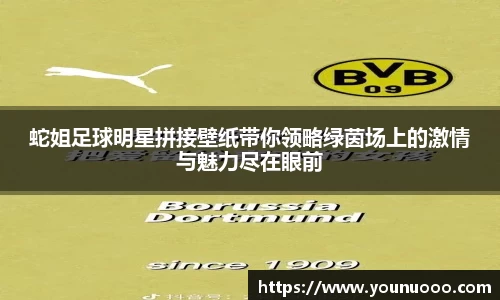 蛇姐足球明星拼接壁纸带你领略绿茵场上的激情与魅力尽在眼前